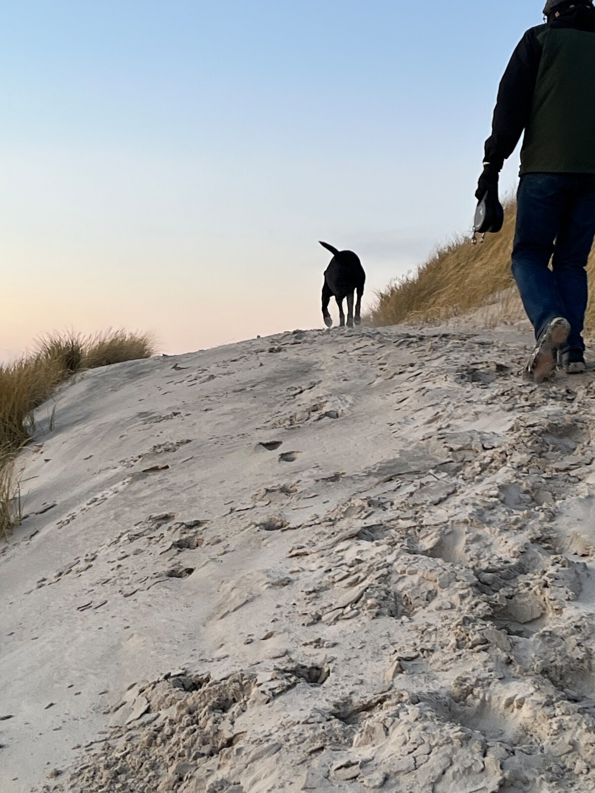 A person walks along a sandy path at dusk, accompanied by a black dog. Dune grasses rise alongside the pathway, and the sky is softly lit with pastel colors, indicating the day's end. The footprints in the sand are visible, showing signs of recent activity.