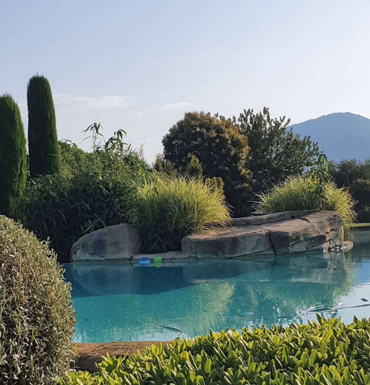 A tranquil pool area is surrounded by lush greenery and tall, slender trees. Natural rock formations frame the water, which is calm and reflects the sky. A small colorful floating object is visible in the pool, enhancing the serene setting.
