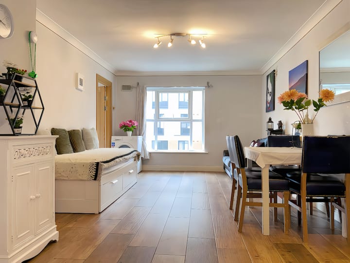 Dublin City Center Apartment - Dublin