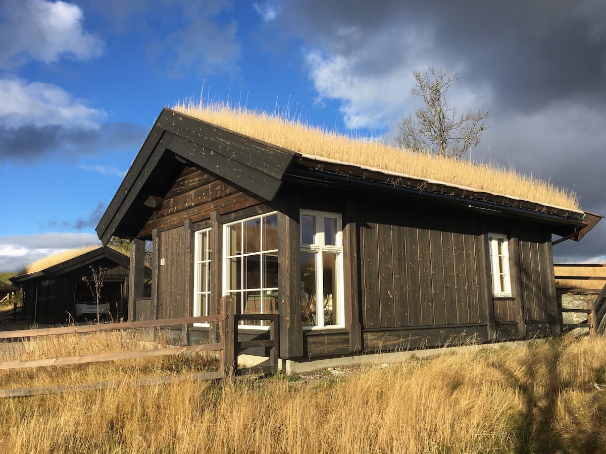 A charming wooden cabin is presented with a thatched roof, surrounded by tall grass. Large windows allow natural light to brighten the interior. The exterior features dark wood siding, complemented by a wooden railing that encloses the property.