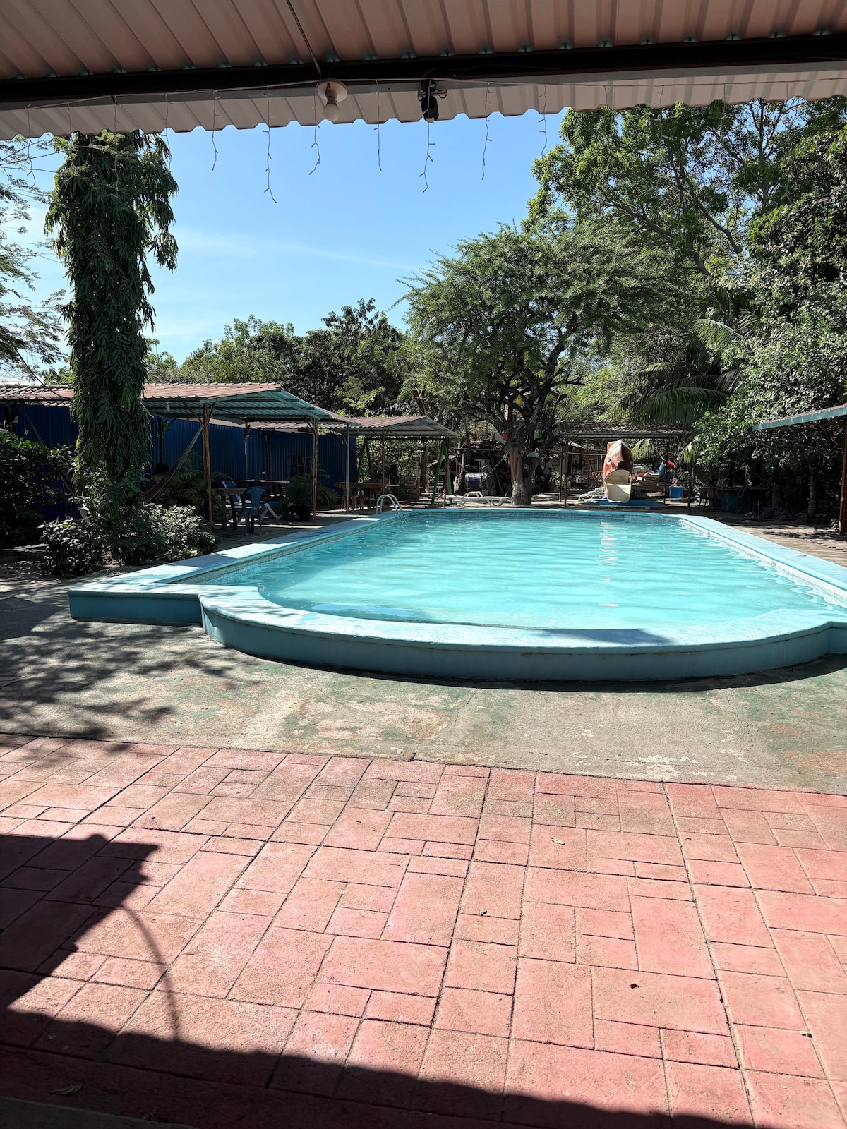 A clear swimming pool is surrounded by lush greenery and tall trees, providing a serene atmosphere. The patio area features a textured surface and is shaded by overhead structures. Sunlight reflects off the water, enhancing the inviting look of the pool area.