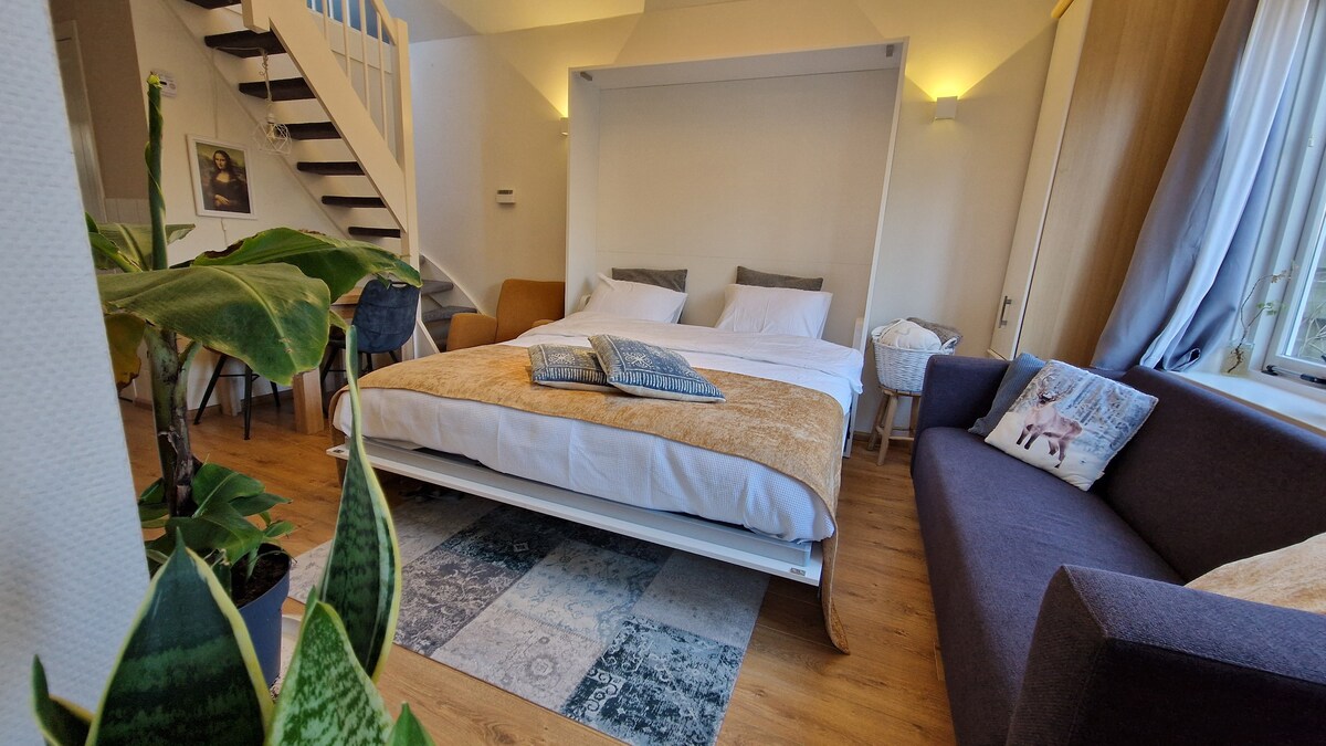 A cozy living space features a spacious bed with soft linens, placed at the focal point of the room. A comfortable sofa sits adjacent, complemented by decorative cushions. Potted plants and a textured area rug add character to the wooden floor, while light floods in through sizable windows.