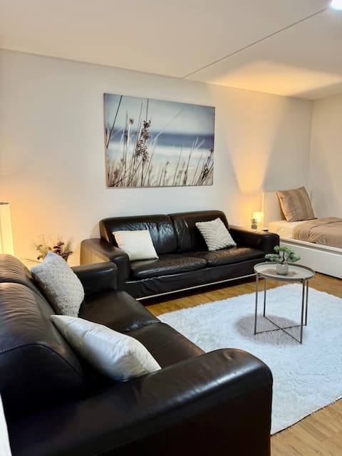 Skyline Retreat room with TV