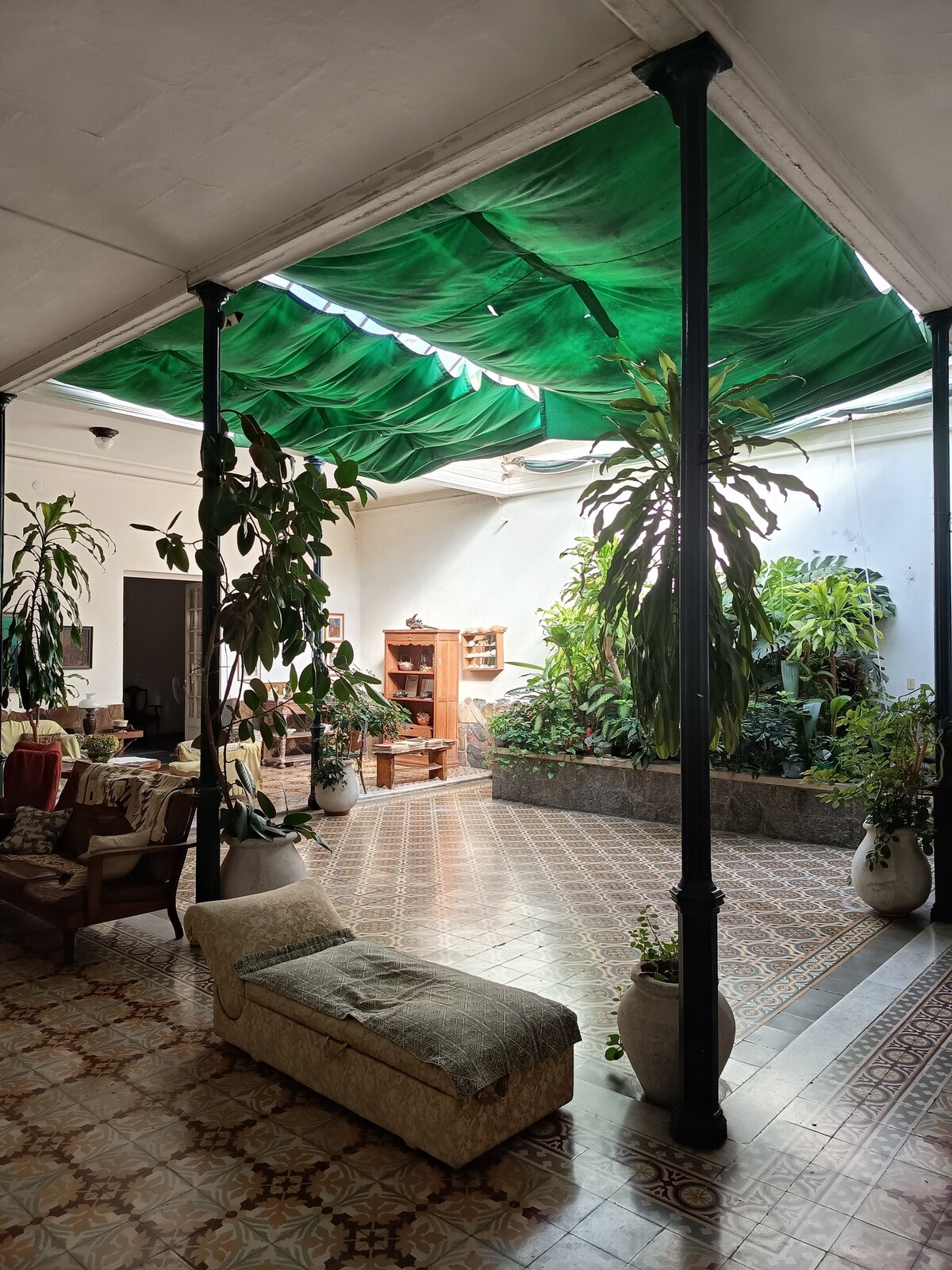 An interior garden area is surrounded by lush greenery, with large plants placed in decorative pots. A cozy seating arrangement is visible, coupled with an inviting bookshelf. Natural light filters through the green canopy, creating a serene atmosphere in the space.