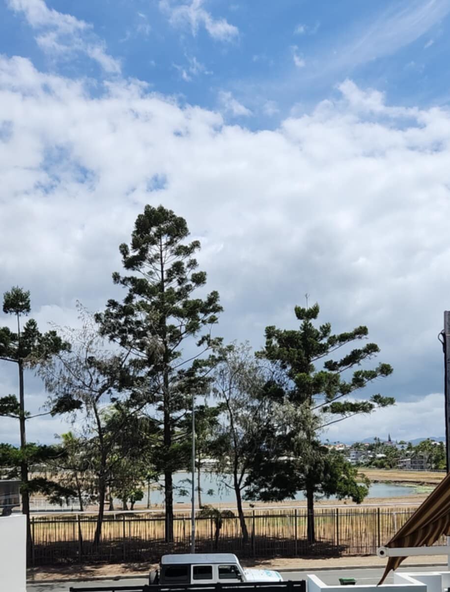 A view of a serene landscape is presented, featuring tall trees against a partly cloudy sky. The water is visible in the distance, framed by greenery. A few boats can be seen on the water, adding a touch of activity to the tranquil scene.