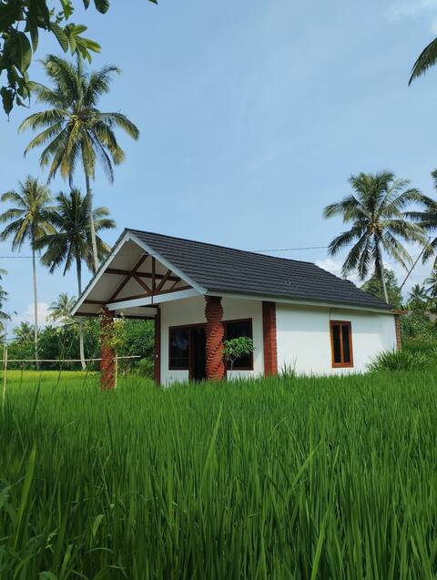 ricefield deluxe double room