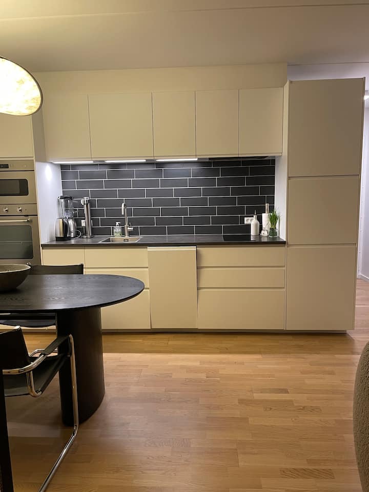 Big Studio Apartment - Copenhagen