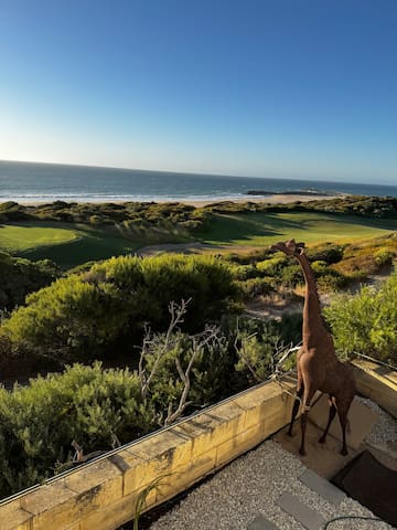 The Sanctuary Absolute Ocean Front