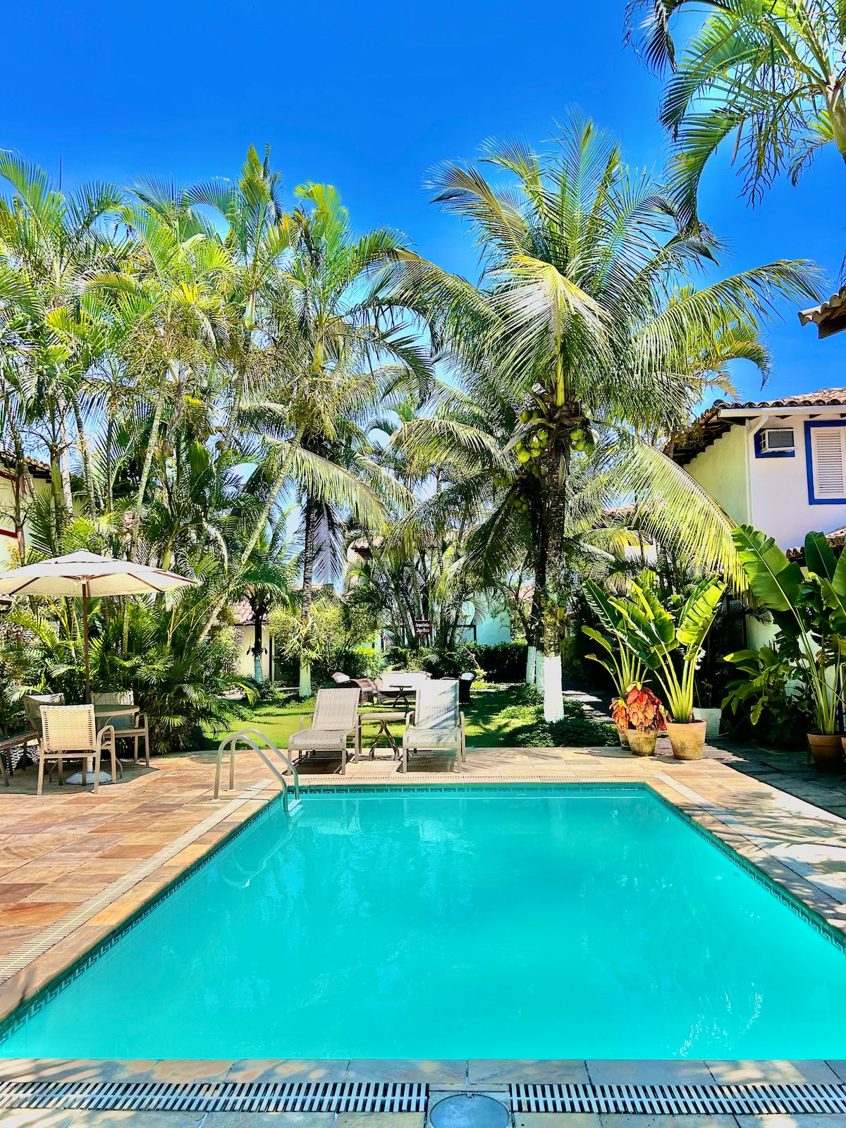 A refreshing pool is surrounded by lush tropical foliage, including palm trees and vibrant greenery. Comfortable loungers are positioned nearby, providing a relaxing outdoor setting. The clear blue sky complements the serene ambiance of the landscape, creating an inviting atmosphere for leisure.