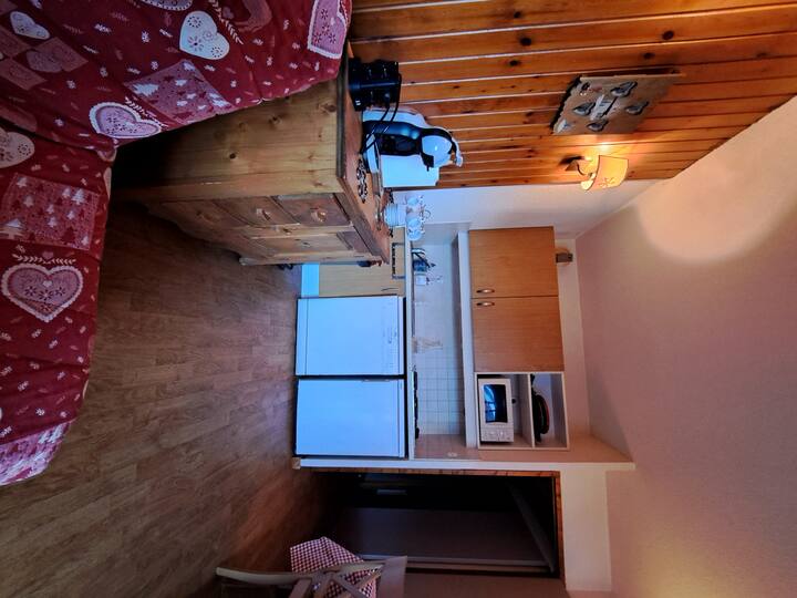 Appartement Parc Aux éToiles - Puy-Saint-Vincent