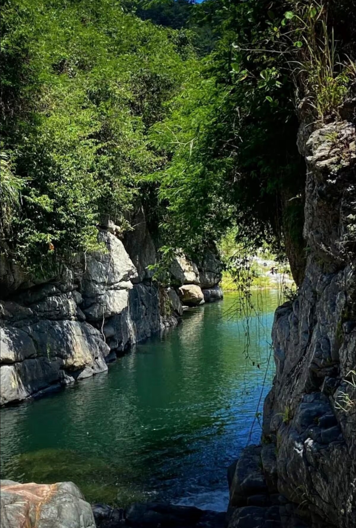 A serene natural waterway is framed by steep, rocky cliffs covered in lush greenery. The calm water reflects the surrounding foliage, enhancing the tranquil atmosphere. Sunlight filters through the trees, creating a dappled light effect on the water's surface.
