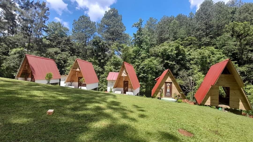 A cluster of five a-frame cabins is set amidst a lush, green lawn, surrounded by tall trees. Each cabin features a distinctive red roof and a welcoming entrance, creating a harmonious and inviting outdoor space for family gatherings.