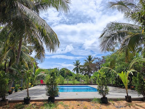 Green oasis in the city