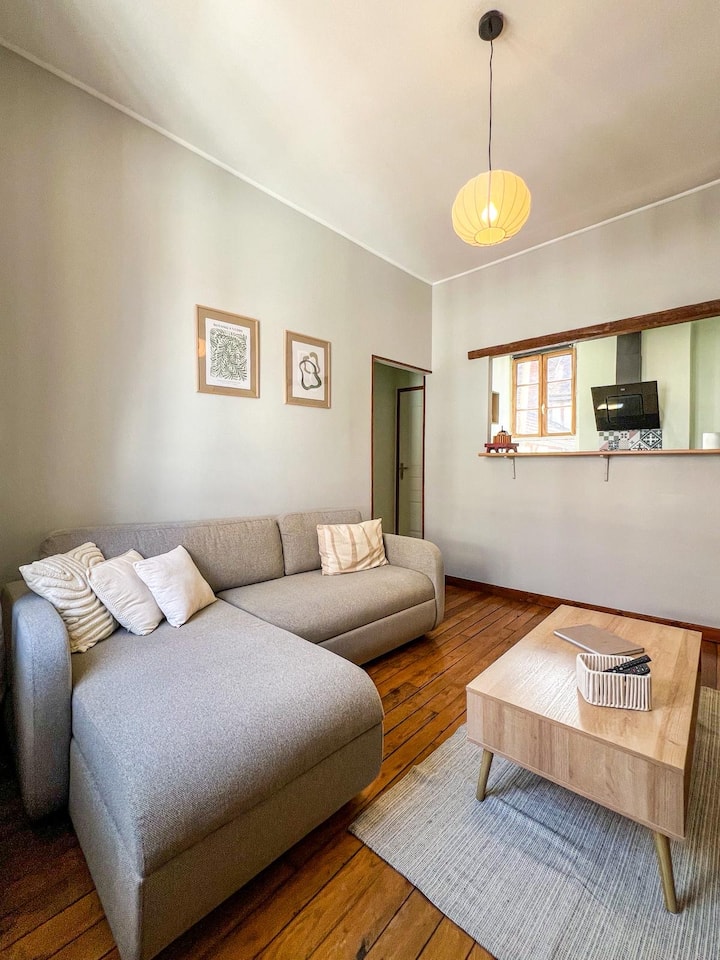 Appartement De Charme En Ville - Auxerre