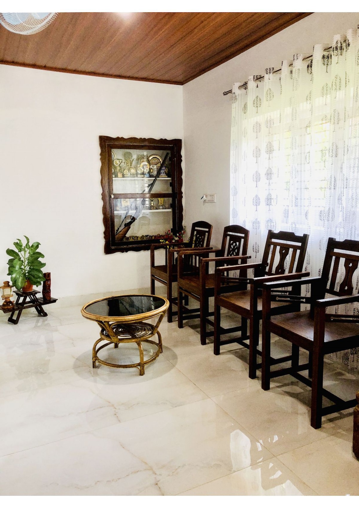 A comfortable seating area is presented, featuring four wooden chairs arranged around a circular glass-top table. A display cabinet showcasing decorative items is built into the wall, while a potted plant adds a touch of greenery to the corner of the room. Natural light filters through sheer curtains.