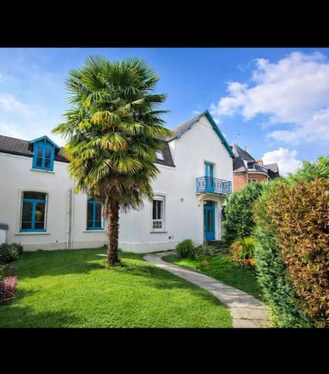 The house with the palm tree