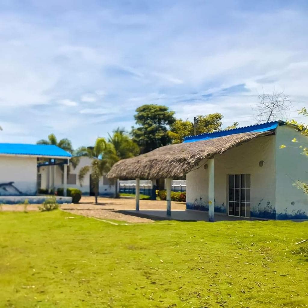 A spacious outdoor area is shown, featuring well-kept greenery and a building with a thatched roof. Sunlight illuminates the surroundings, highlighting the blue sky and the vibrant landscape. A pathway leads to the main structure, creating an inviting atmosphere.