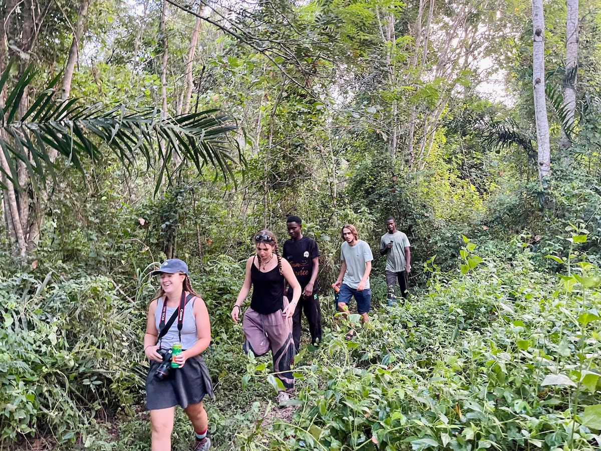 A group of travelers is seen walking through a lush green jungle path, surrounded by dense vegetation and tall trees. The scene captures the adventure of exploring nature, with various shades of green visible throughout the landscape.