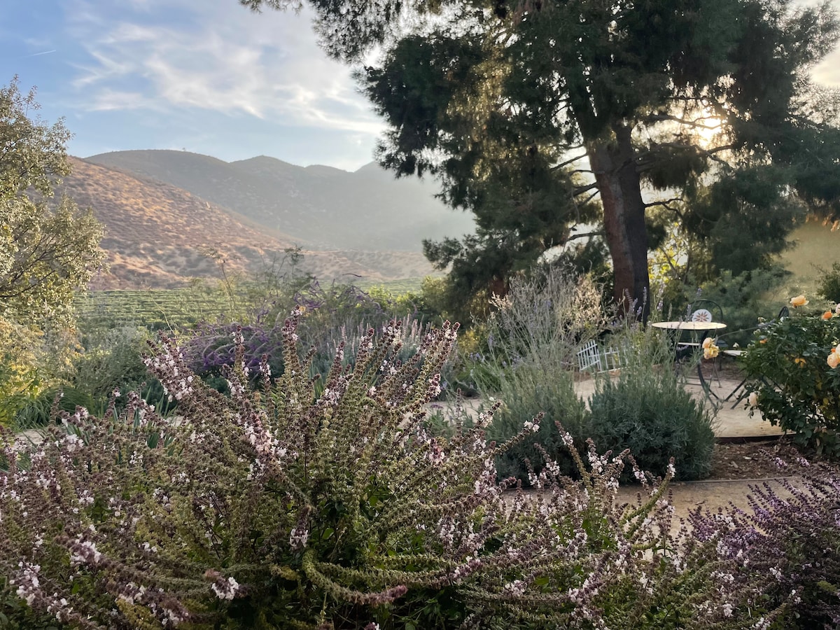 A serene garden is filled with lush greenery and various flowering plants, showcasing a blend of colors. In the background, rolling hills are visible under a soft sky, while a small table and chairs are placed among the blooms, inviting quiet moments in nature.