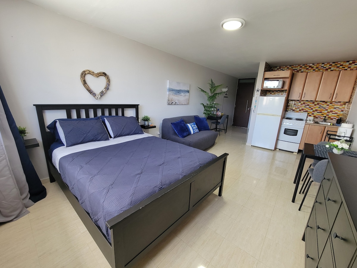 A spacious studio is shown, featuring a queen-size bed with a navy blue and white bedding set. A gray sofa is situated nearby, and colorful tiles adorn the kitchen area in the background. A plant adds a touch of greenery to the living space.