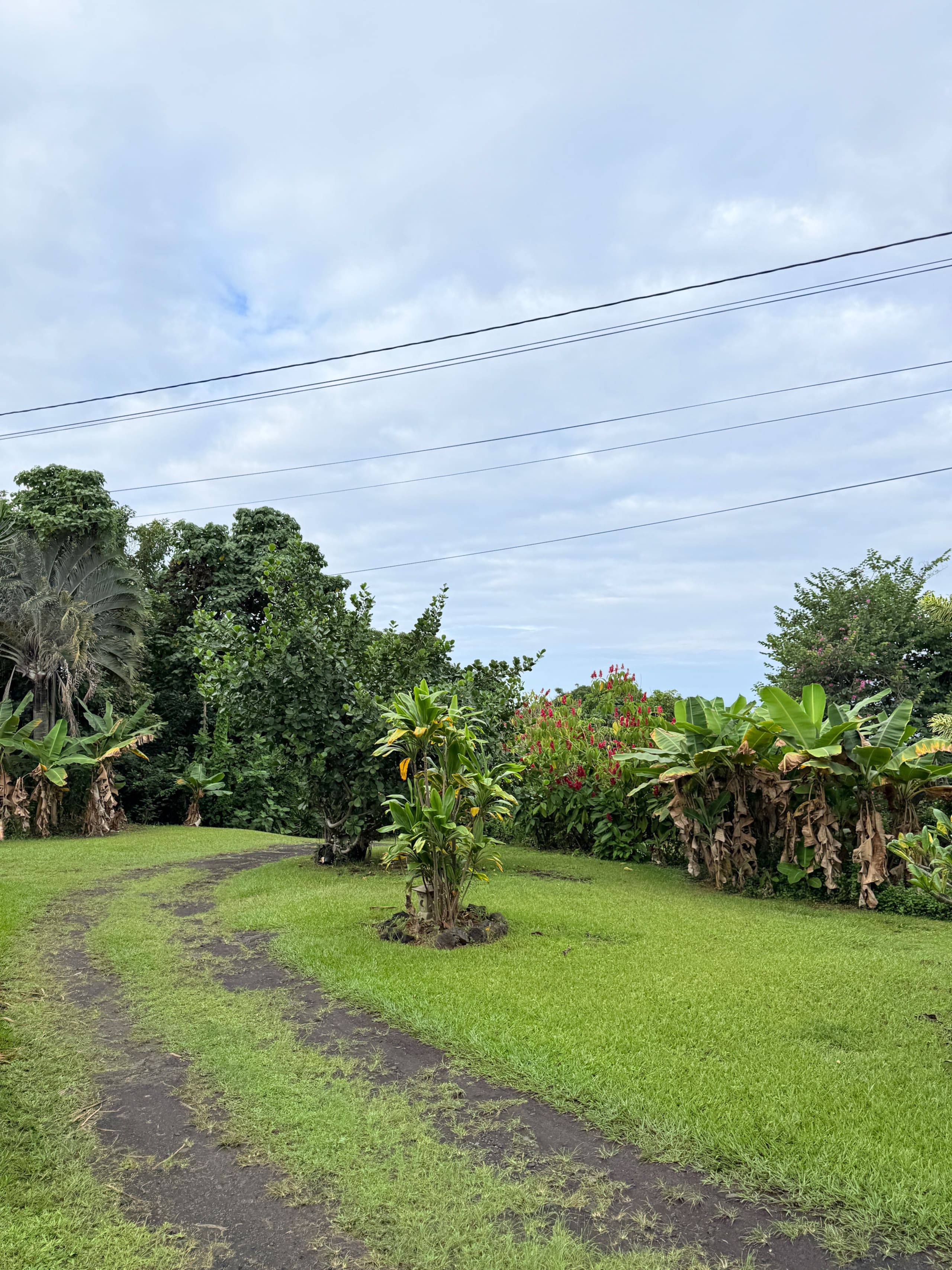 Charming farmhouse with huge oceanview patio lanai - Image 57