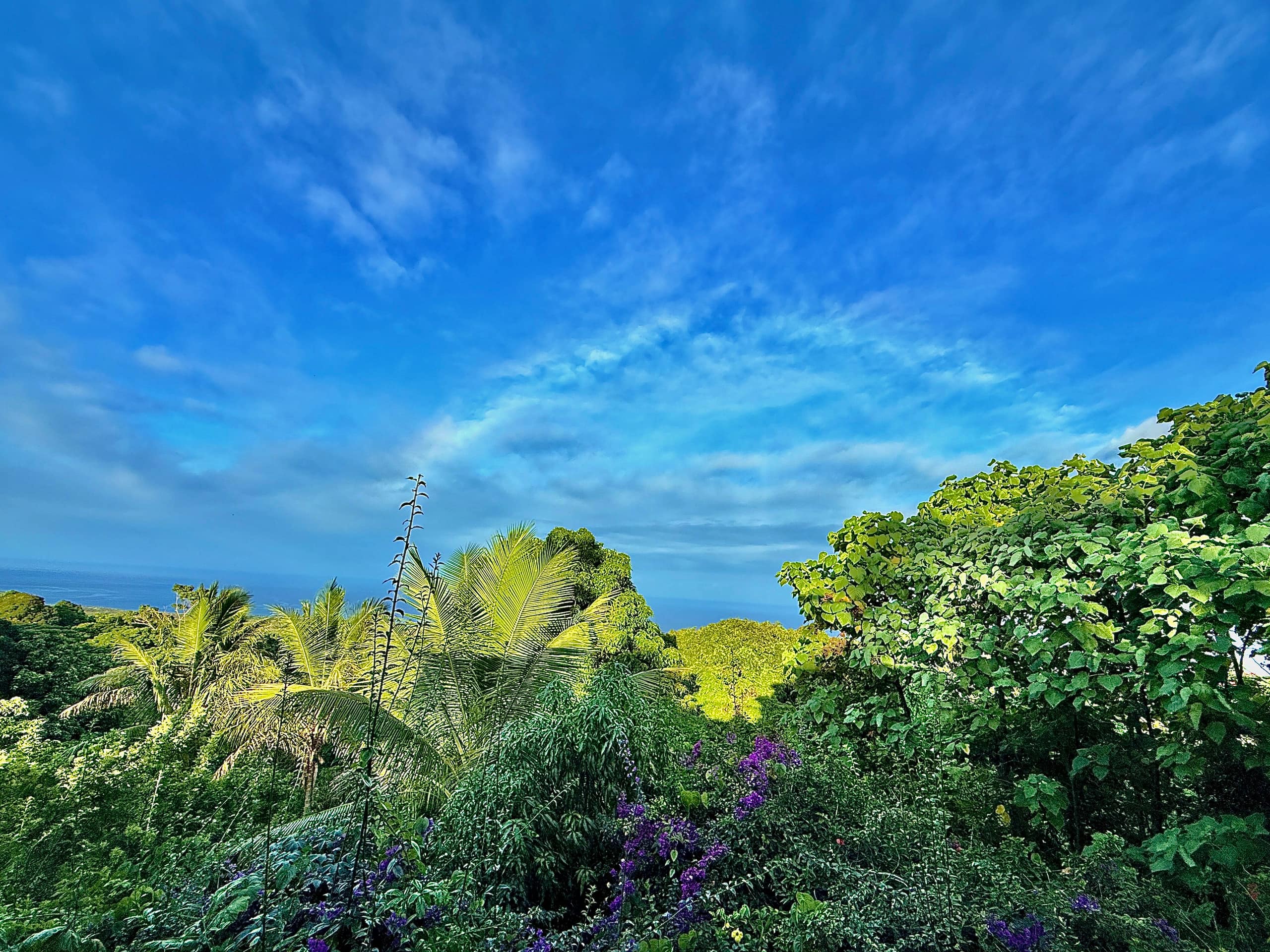 Charming farmhouse with huge oceanview patio lanai - Image 34