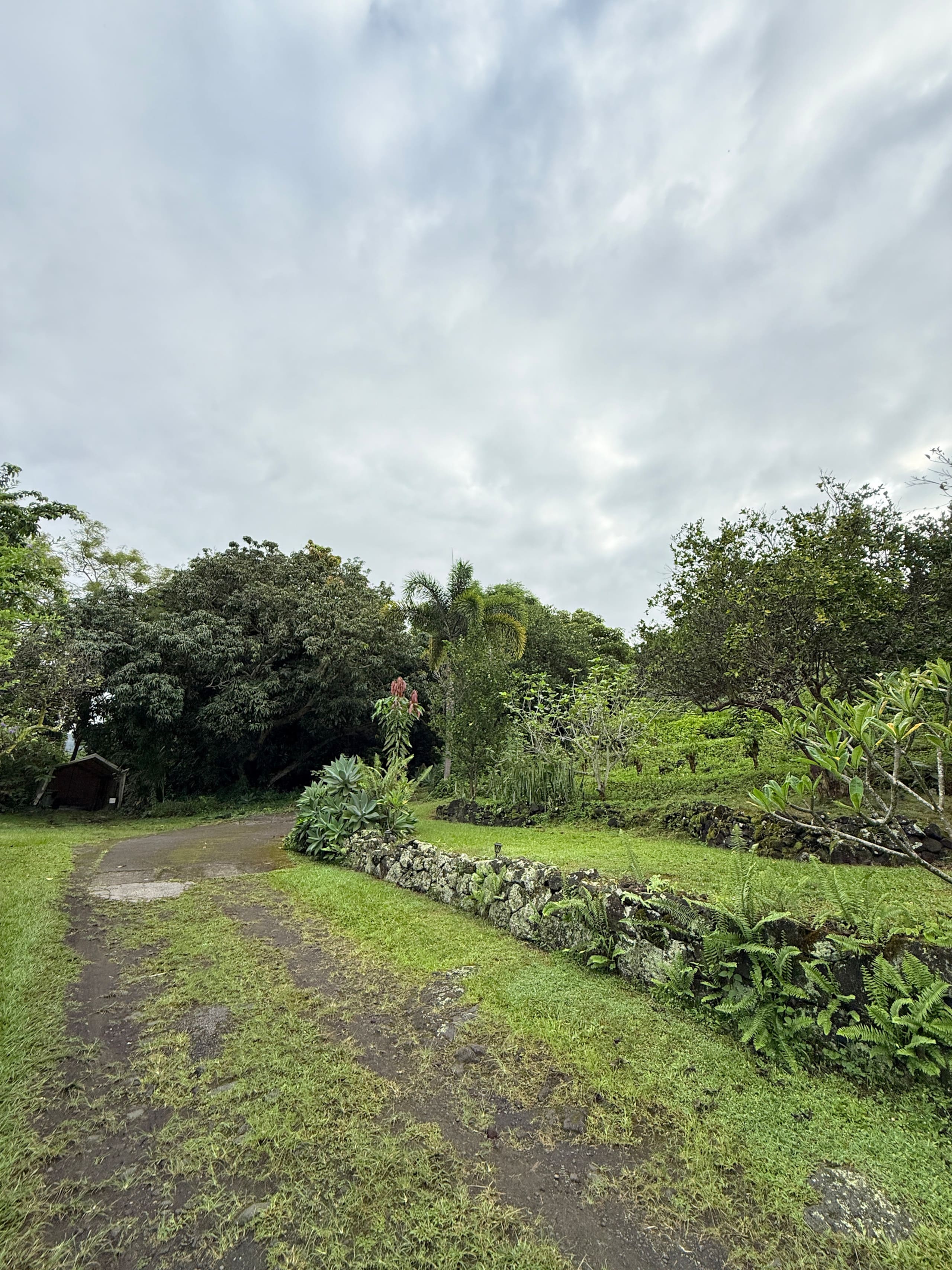 Charming farmhouse with huge oceanview patio lanai - Image 56