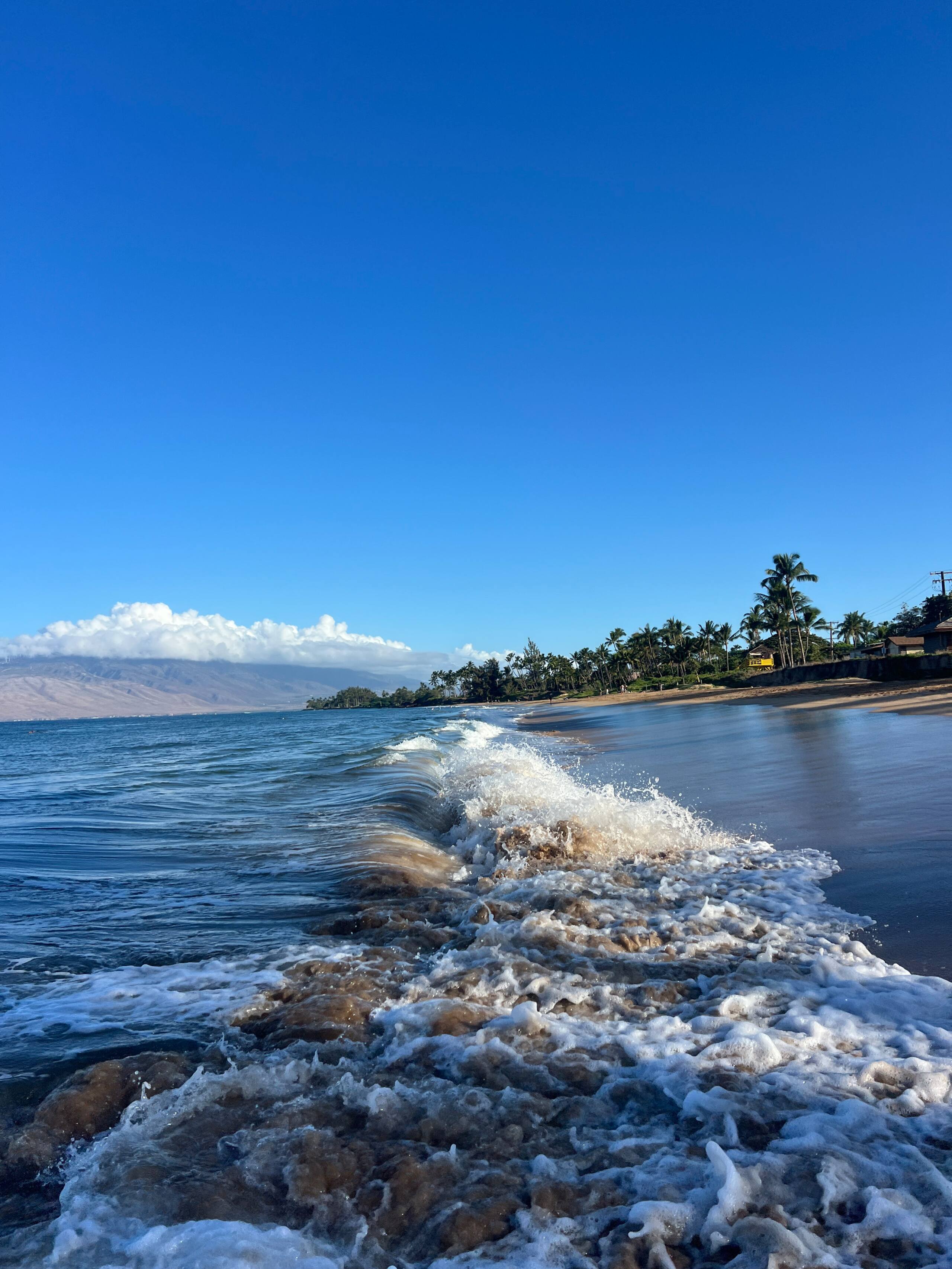 Condo in Kihei · ★4.86 · 2 bedrooms · 4 beds · 2 baths - Image 52