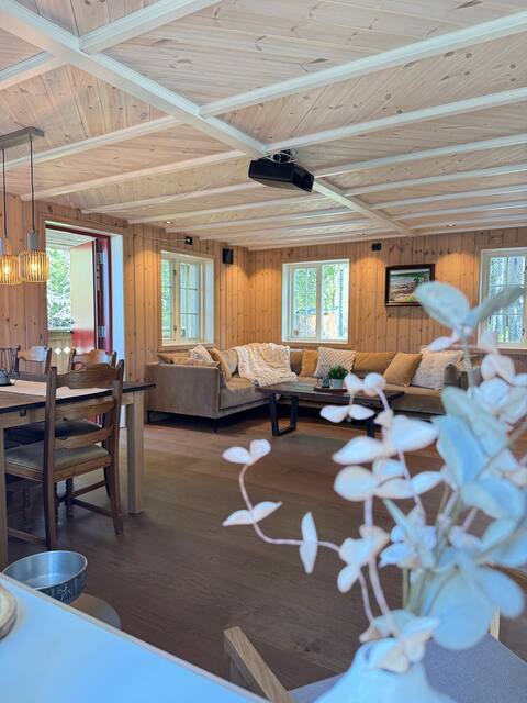 Successful Airbnb property: Lian Lakehouse in Midtbyen