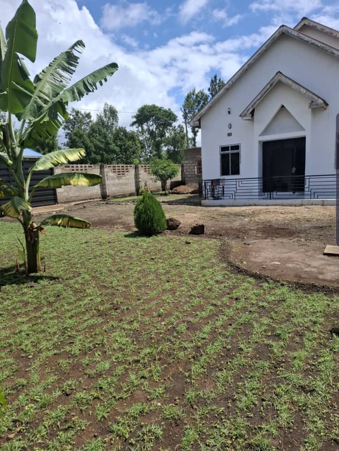 A spacious outdoor area is visible, featuring a small garden with green grass and low shrubs. A banana plant is positioned to the left, while a modern white structure occupies the background. The sky is partially cloudy, allowing for natural light to illuminate the scene.