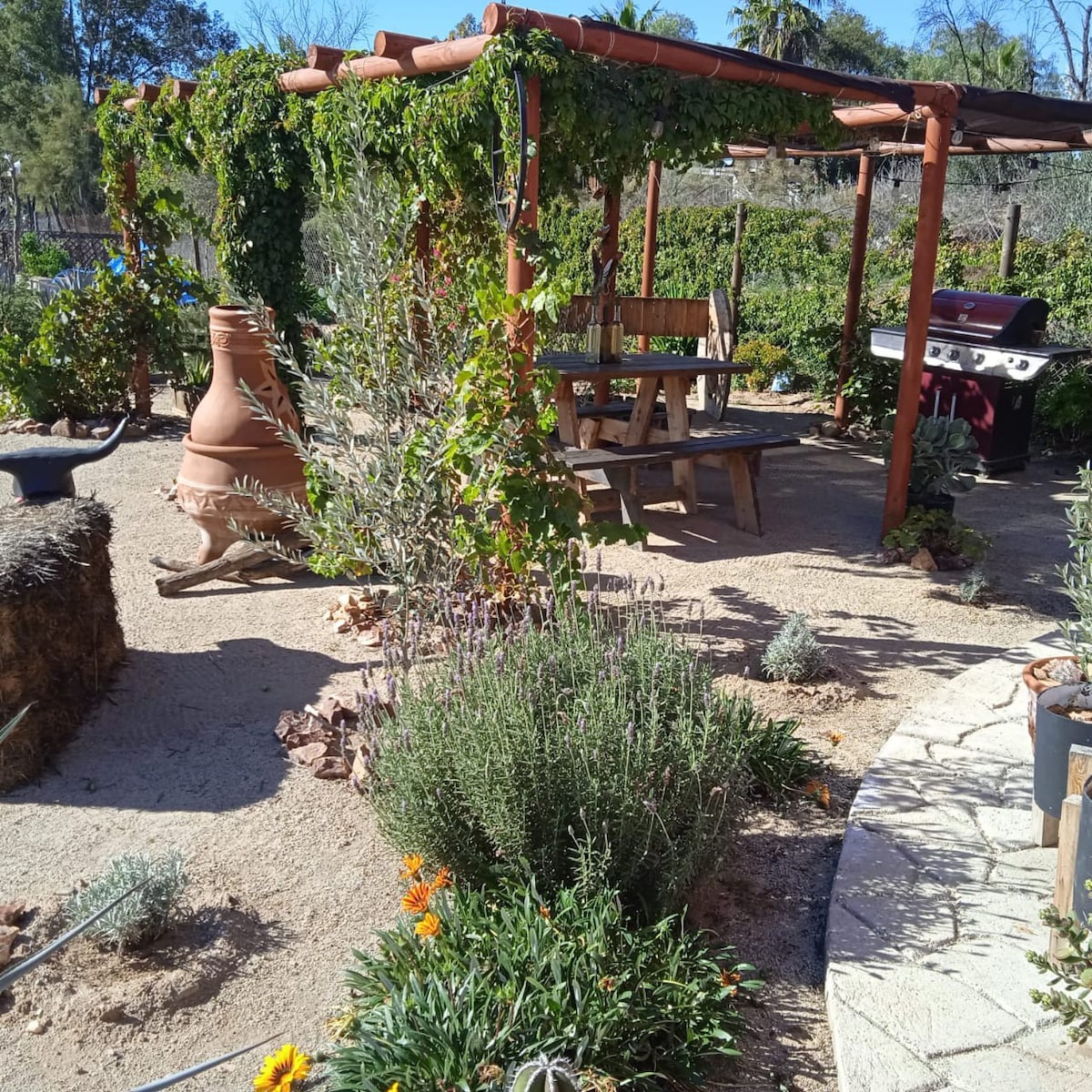 A garden area is highlighted by a shaded wooden seating structure covered with greenery. An outdoor grill is positioned nearby, with various plants including lavender and marigolds arranged throughout the landscape. Natural stones form a pathway leading through the garden.