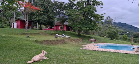 house surrounded by nature