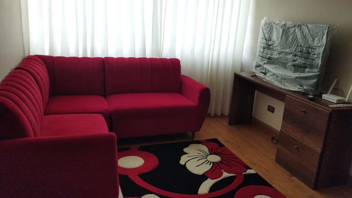 A modern living area is furnished with a red sectional sofa featuring vertical channeling. A large area rug with a floral design is positioned on the floor. A television is covered with plastic and placed on a wooden side table beside a dresser.