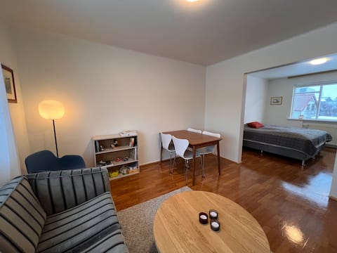 Central, family friendly flat