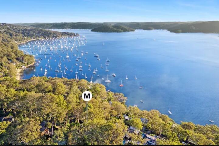 Heavenly Avalon Sunseeker gallery image 2