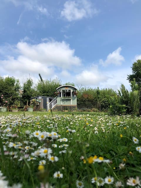 The Bee's Wing Shepherds Hut
