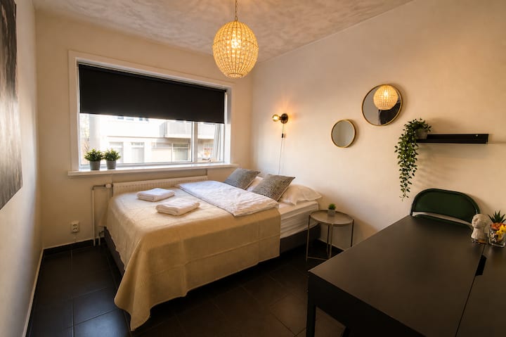 Cozy Room  Downtown  Walk Everywhere - Islande