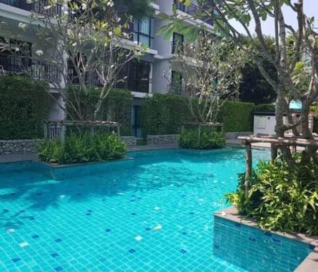 A tranquil swimming pool is surrounded by lush greenery and tropical trees. The clear blue water reflects sunlight, creating a vibrant atmosphere. The pool area is bordered by landscaped gardens, enhancing the serene environment that invites relaxation.