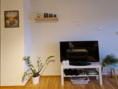 Top performing Airbnb: Retracted socket apartment in Tomasjord