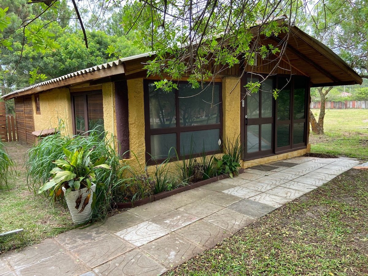A charming wooden chalet surrounded by greenery features large windows that invite natural light. A stone pathway leads to the entrance, flanked by lush plants in decorative pots. The structure showcases a rustic design, integrating harmoniously with the natural landscape.