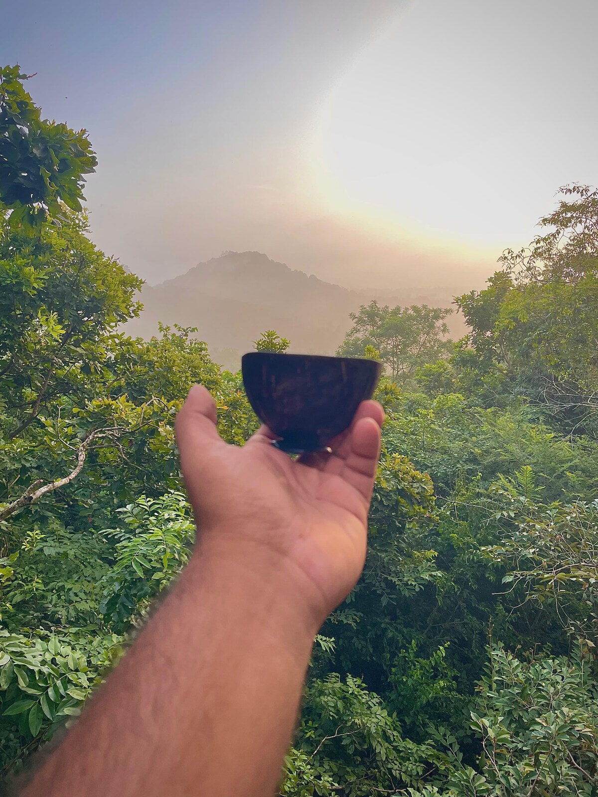A hand holds a dark cup against a backdrop of lush greenery and distant mountains. The sun is setting, casting a warm glow over the landscape, with fog gently enveloping the trees, creating a serene and tranquil atmosphere.