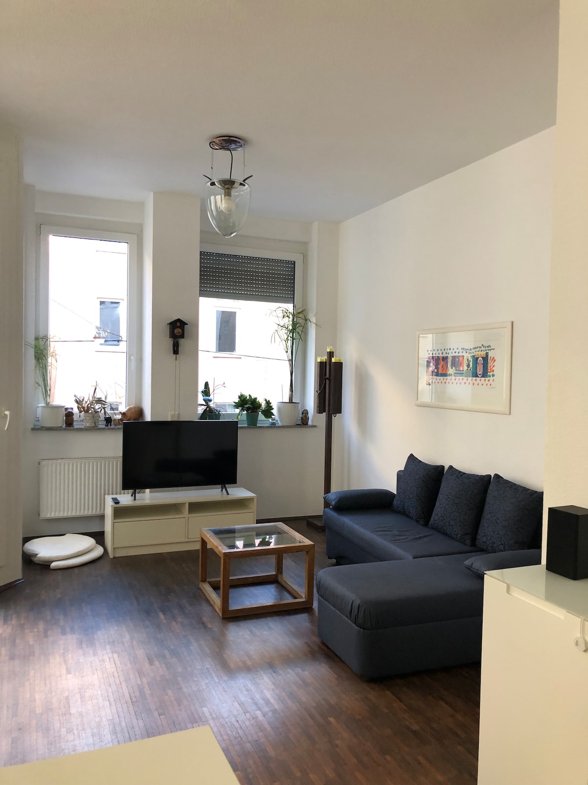 A living area is presented, featuring a dark sofa and a small coffee table set against a light-colored wall. A television is positioned on a low white cabinet. Natural light filters in through two large windows, decorated with plants, enhancing the space.