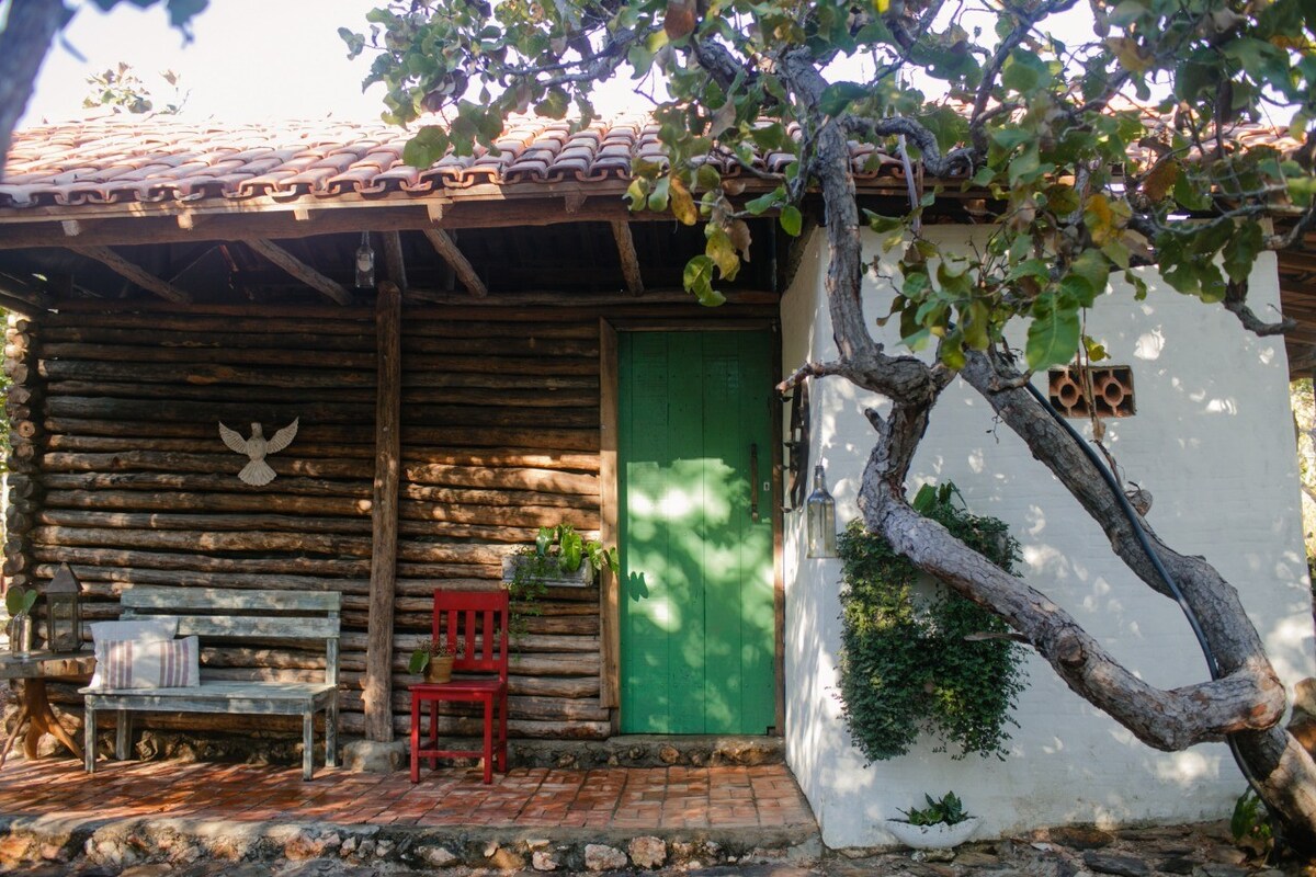 A rustic cabin exterior is framed by natural elements, showcasing a vibrant green door and a red chair on a tiled patio. Wooden beams support the roof, while a decorative bird motif is visible on the wall, surrounded by greenery.