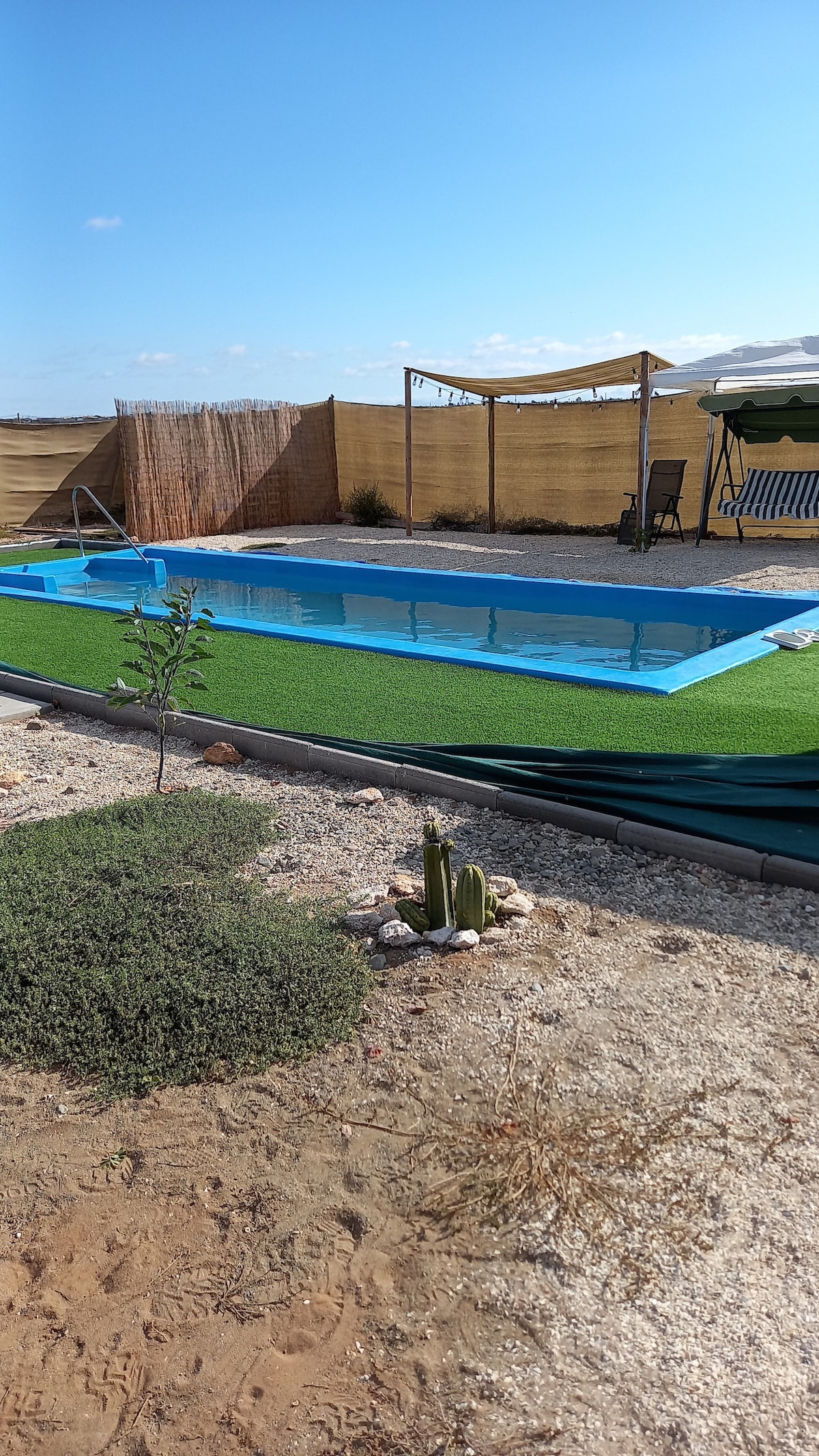 A private outdoor space features a sparkling blue swimming pool bordered by artificial grass. Surrounding areas include low-maintenance landscaping with small rocks and cacti. A shaded seating area with a canopy is visible, creating a serene environment for relaxation.