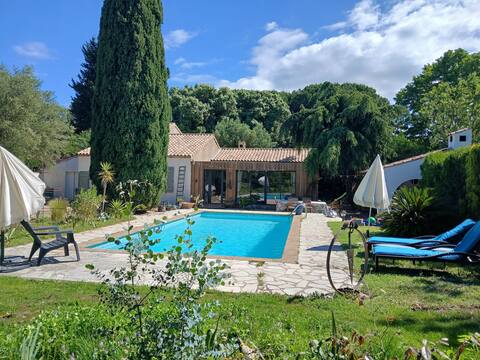 The Villa of the Olive Trees