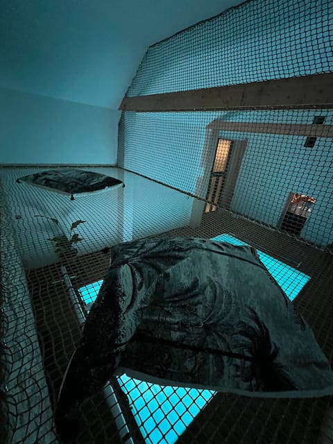 The Grange de Clyna - love room & spa