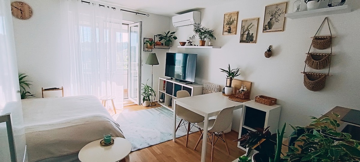 A bright studio apartment is presented, featuring a comfortable bed and a cozy dining area with a small table and chairs. Plants are arranged throughout the space, and a flat-screen TV is positioned on a shelf. Natural light floods in through large glass doors leading to a balcony.
