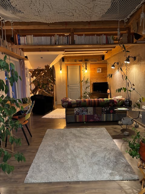 Annonce Airbnb populaire: Apartment with Mont Blanc view à Passy
