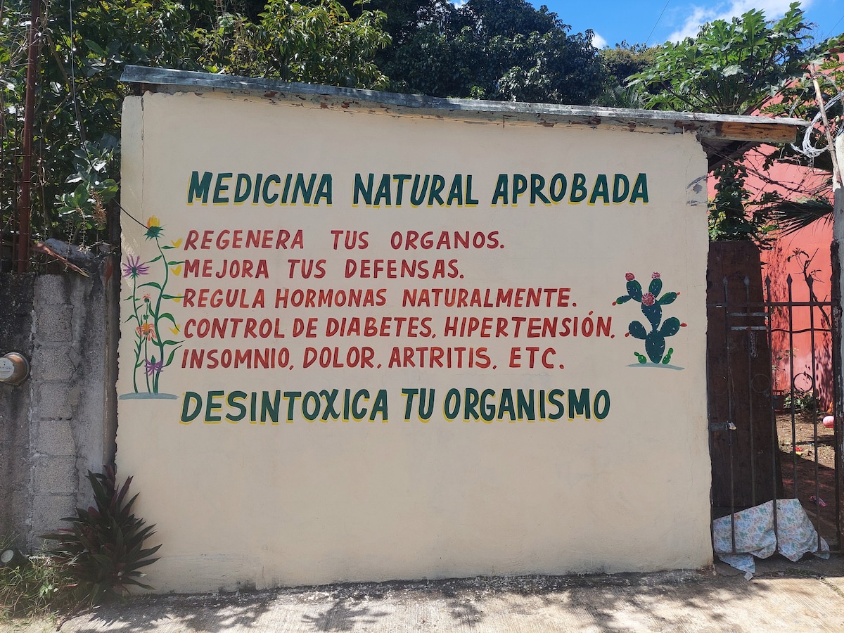 A wall features colorful hand-painted text highlighting natural medicine benefits. The text is organized in sections, listing health improvements such as regulating hormones and controlling diabetes. Various plants and cacti are illustrated around the text, enhancing the natural theme of the setting.