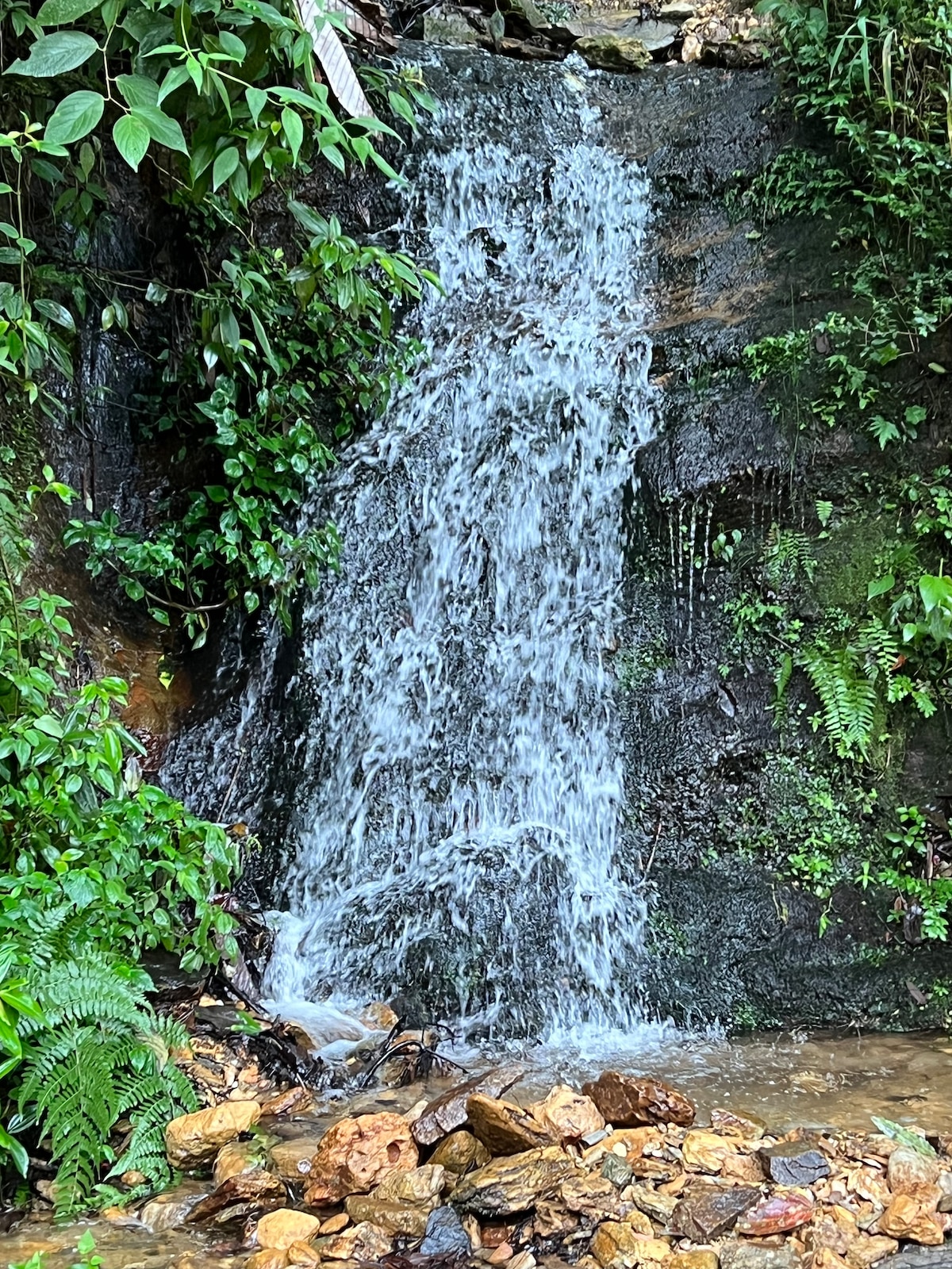 A small waterfall cascades over a rocky surface, surrounded by lush green foliage. The water flows gently, creating a serene atmosphere. Rocks of various sizes lay at the base, partially submerged in a shallow pool of water, enhancing the natural beauty of the setting.
